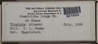 Image Associated With the Occurence